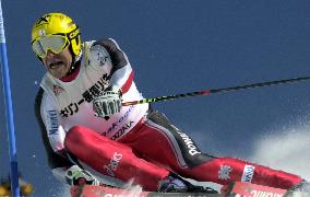 'Herminator' cruises at Alpine skiing World Cup meet